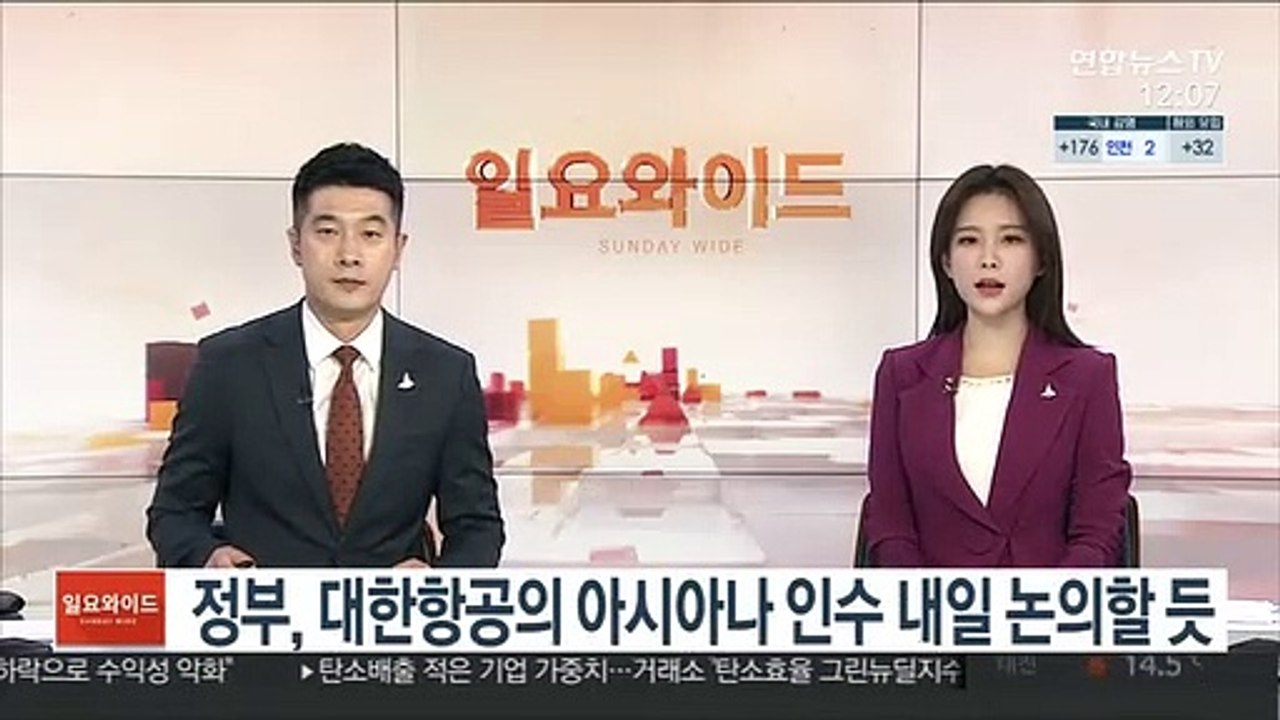 정부, 대한항공의 아시아나 인수 내일 논의할 듯