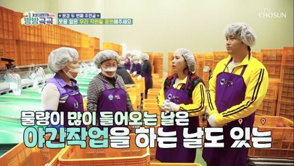 바쁘다 바빠~ 문경사과 작업 현장 #광고포함