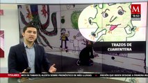 Milenio Noticias, con Pedro Gamboa, 14 de noviembre de 2020