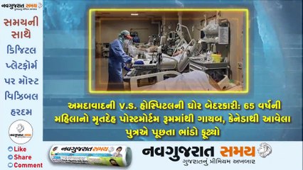 Navgujarat Samay News Fatafat on 15 November 2020, Afternoon Update