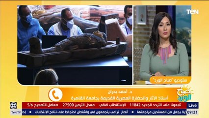 اكتشاف أكثر من 100 تابوت و40 تمثالا بسقارة.. و استاذ الاثار يكشف التفاصيل الكاملة