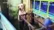 Messico, il cane salvato dall'alluvione: il video diventa virale