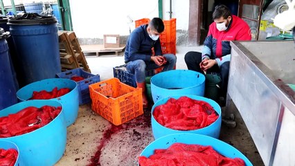 Çubuk'ta pancar turşusu mesaisi başladı - ANKARA