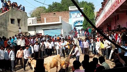 परम्परागत 'छोड़ फाड़' कार्यक्रम का आयोजन हुआ, सैकड़ों लोग पहुंचे देखने