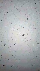 Giant Snowflakes Falling From Sky