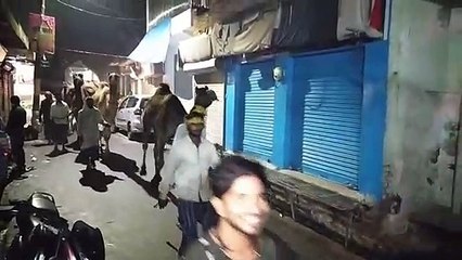 दीपावली के मौके पर कस्बा इकदिल में निकले ऊंट, कई सालों बाद देखने को मिलें ऊंट