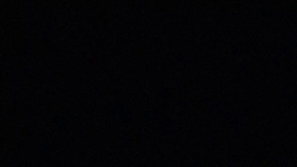 Nobres Cadelos - Jornal Nacional  (Official Video)