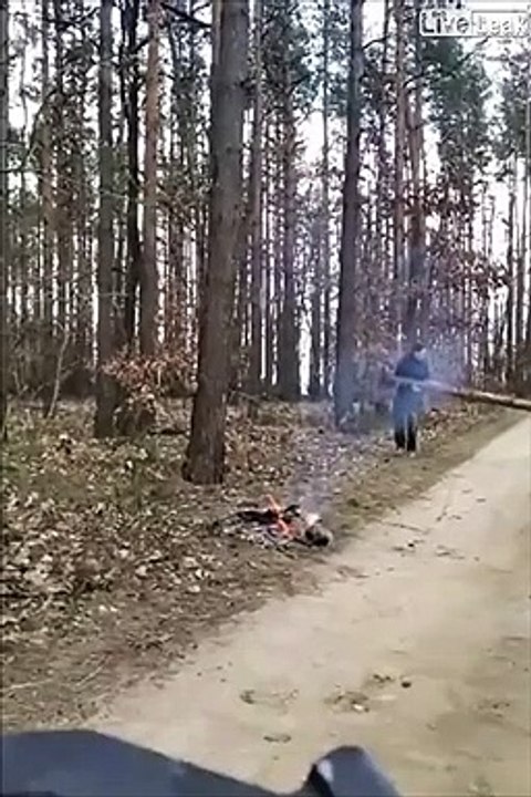 Bonne idée du jour : casser un tronc d'arbre à 2