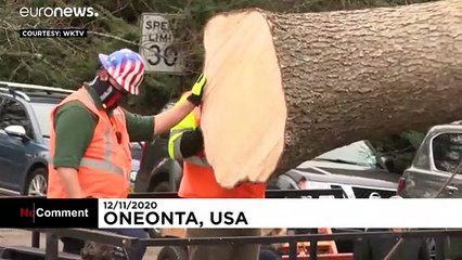 Ёлочка, зажгись в Рокфеллеровском центре!