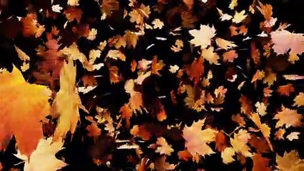 Autumn And Nature
