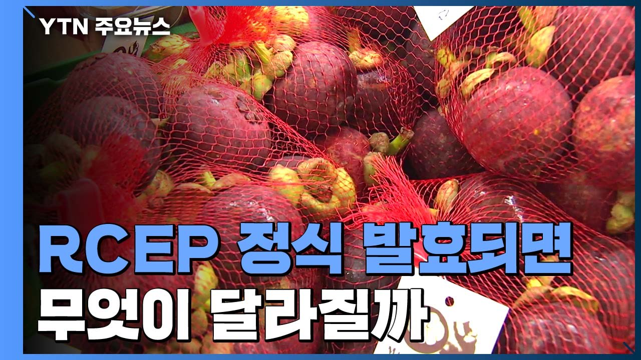 동남아 열대과일·日 맥주 관세↓...국산 주류 수출↑ / YTN