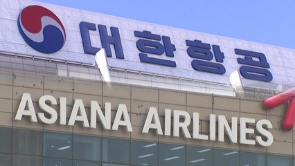 [앵커리포트] 산은, 조원태 우군으로?...궁지 몰린 조현아 / YTN