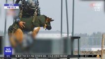 [이슈톡] 중국 공수부대 군견 스카이다이빙 화제