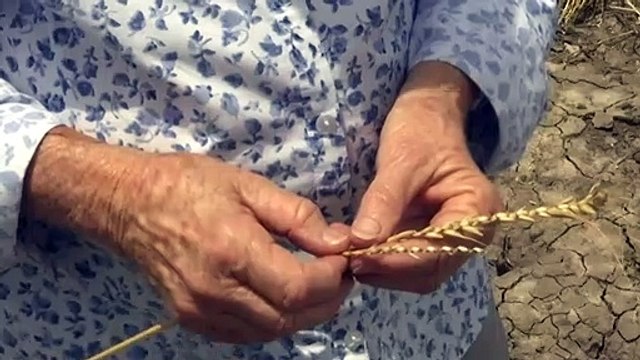 NSW farmers adapting to challenging conditions