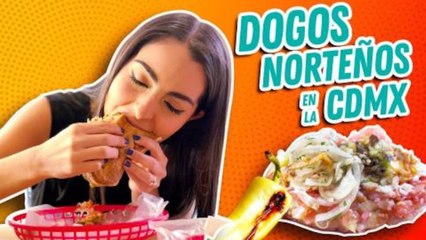 Preparé dogos norteños en la CDMX