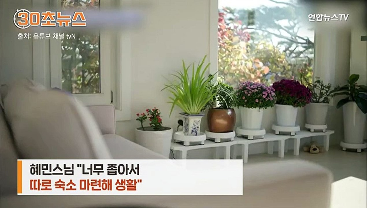 [30초뉴스] 남산 보이는 집에서 수행?…혜민스님 "모든 활동 중단"