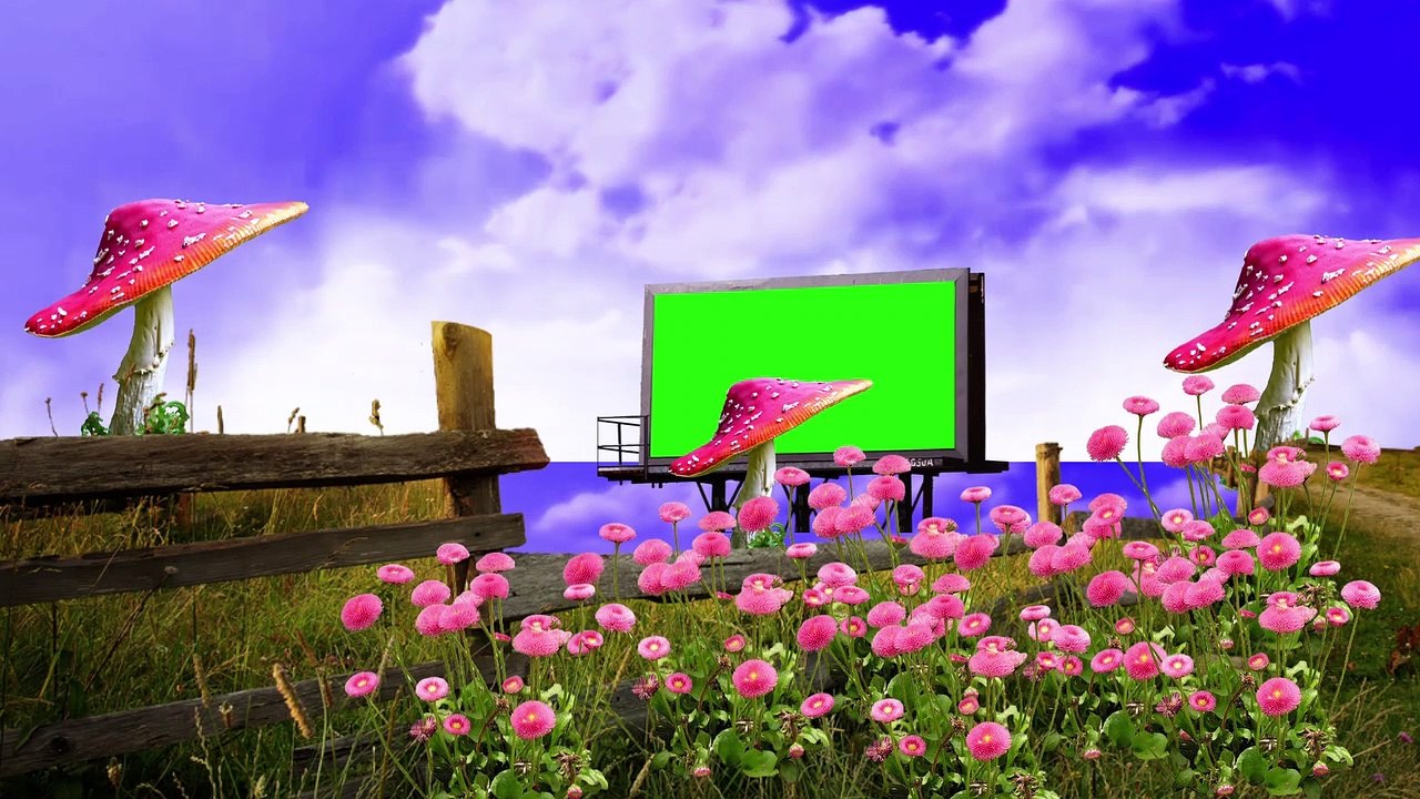 indian wedding green screen video download