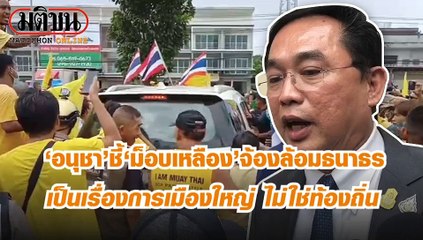 'อนุชา' ชี้ 'ม็อบเหลือง' จ้องล้อมธนาธร เป็นเรื่องการเมืองใหญ่