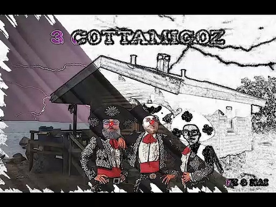 FZ & HAI - 3 COTTAMIGOZ