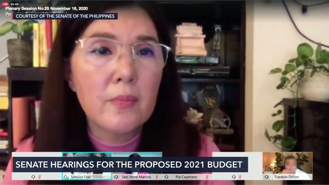 Senate plenary debates on the 2021 national budget bill