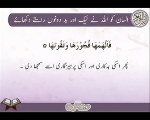 Naik Or Bad Dono Rasty | Surat Ash-Shams 8 | Ayat | HD