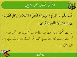 Naimaton Ki Nishaniyan | Deen Islam | HD Video