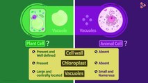 Types of Cells _ Don't Memorise