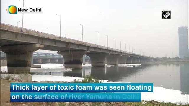 Watch: Thick layer of toxic foam floats on surface of river Yamuna in Delhi