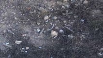Hallado el cadáver de una joven en la localidad murciana de Javalí Viejo