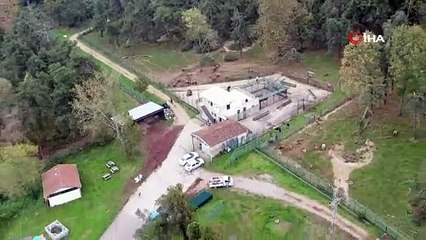 Bakım süper...71 ayıyı kış uykusu tutmadı