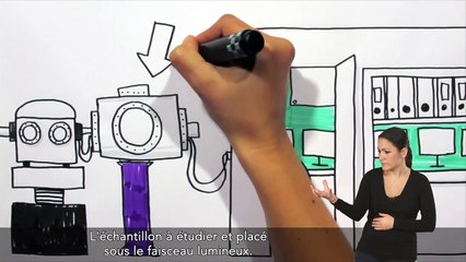 Les lumières de SOLEIL (VFSTF et LSF) (2/3)