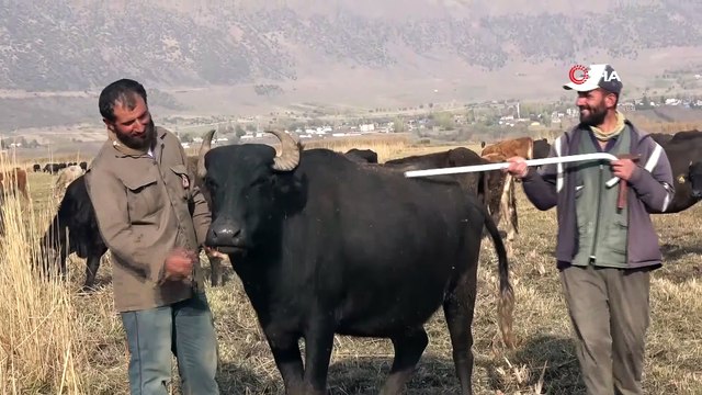 Sağır ve Dilsiz Kardeşler 20 Yıldır Çobanlık Yapıyor