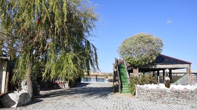 SİVAS - Bozkırın ortasındaki Ulaş Gölü'nde sonbahar güzelliği