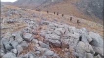 BİTLİS - Bitlis'te mağara ve sığınaklarda PKK'lı teröristlere ait patlayıcı ve yaşam malzemeleri bulundu