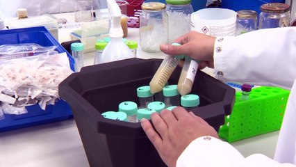 La iniciativa de la OMS para desarrollar una vacuna alcanza 4.300 millones