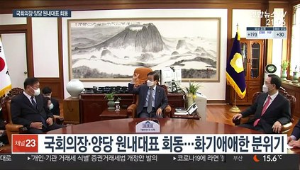 박의장·여야 "초당적 방미대표단 추진" 합의