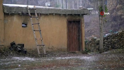 Yüksekova’da kar yağışı