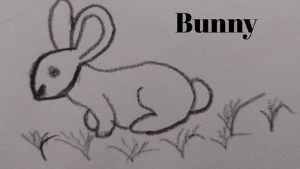 How to draw a cartoon  bunny/rabbit