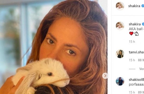 Shakira confessa ser fã de Anitta e Ivete Sangalo