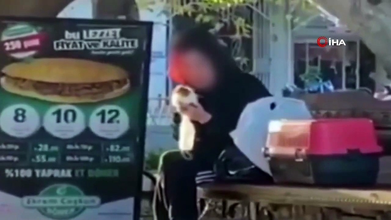 Sosyal medyayı ayağa kaldırmıştı! Hamster’a tokat ve ısırık cezasız kalmadı