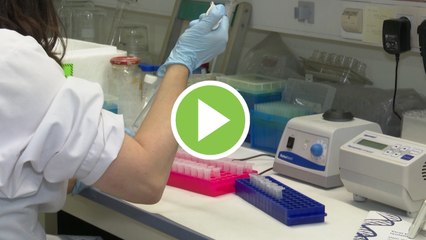 El Ibex 35 se dispara un 4% con los avances en la vacuna de Moderna