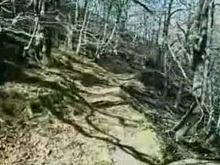 2° session de Laborde B...