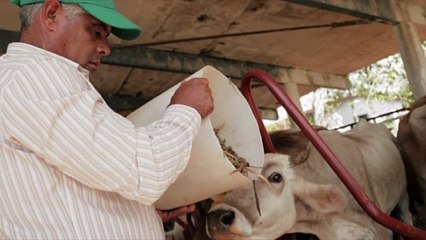 U.S. Department of Labor Freezes Wages of 200K Farmworkers Until 2023