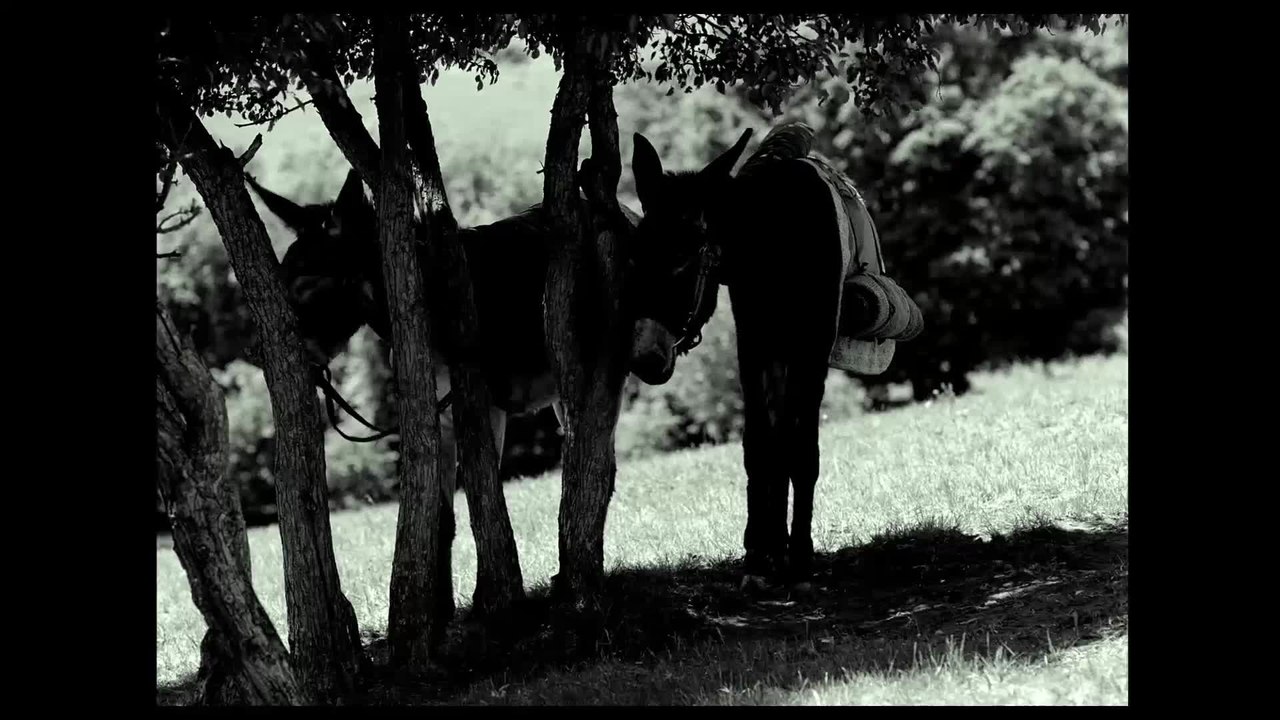 The Assassin - Clip Nie Yin-Niang und die Nonne (Deutsche UT) HD