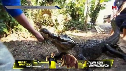 Gator Wranglers (Social Channel)