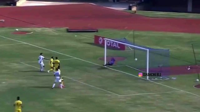 Magnifique but d'Andy Delort