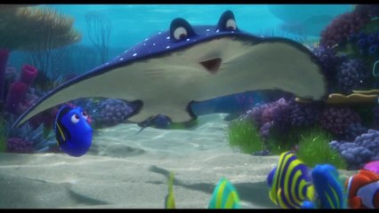 Finding Dory - Clip Going Home (English) HD