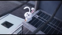 The Secret Life of Pets - Clip Max & Duke Try To Join Snowball (English) HD