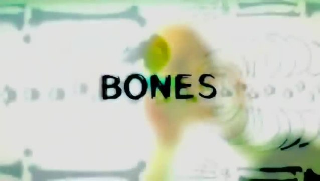 Staffel 1 von Bones - Die Knochenjägerin