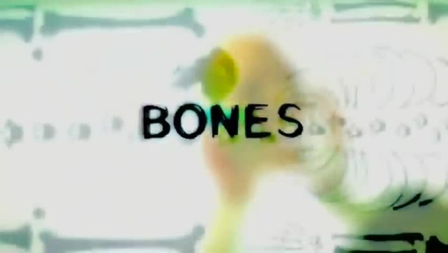 Bones - Die Knochenjägerin